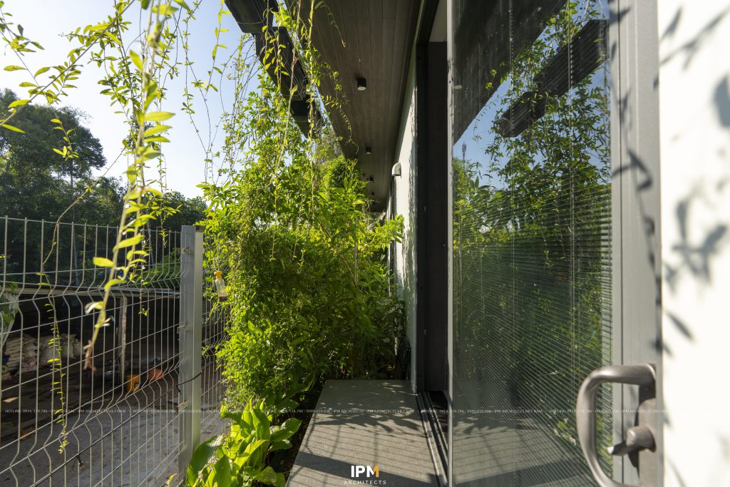 Sac xanh tai LG VILLA| IPM ARCHITECTS